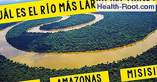 Pon a prueba tus conocimientos de química La Enfermedad Los Síntomas