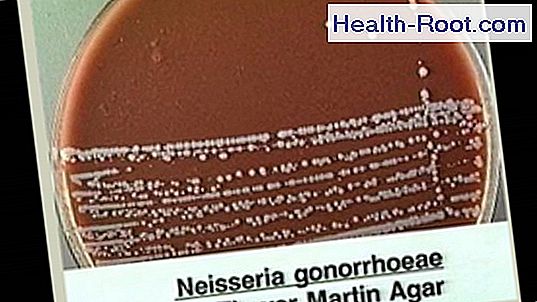 gonorrhea-disease-symptoms-treatment-2022