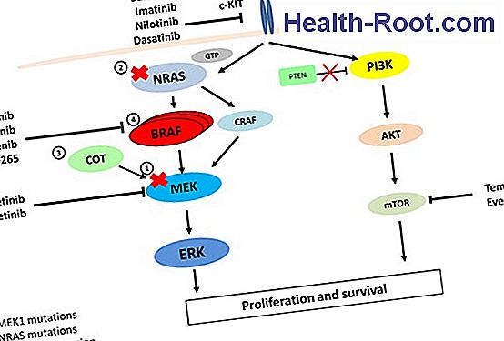 Personalized And Targeted Cancer Treatment Disease Symptoms 