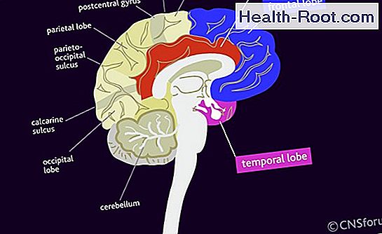 Sex And Alcoholism 🏥 Disease Symptoms Treatment 2024