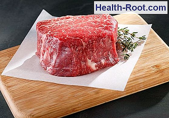 Ham Mignon Ziekte Symptomen Behandeling 2022