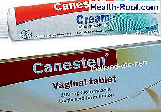 Canesten® Vaginal Cream เม็ดมะโล ครีมและช่องคลอด 🏥 โรคอาการการรักษา 2024 6996